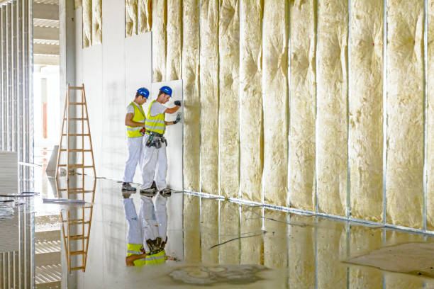 Best Types of Insulation in Lake Waccamaw, NC